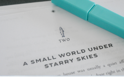 My Next Book: Secrets at Sparhawk Point!